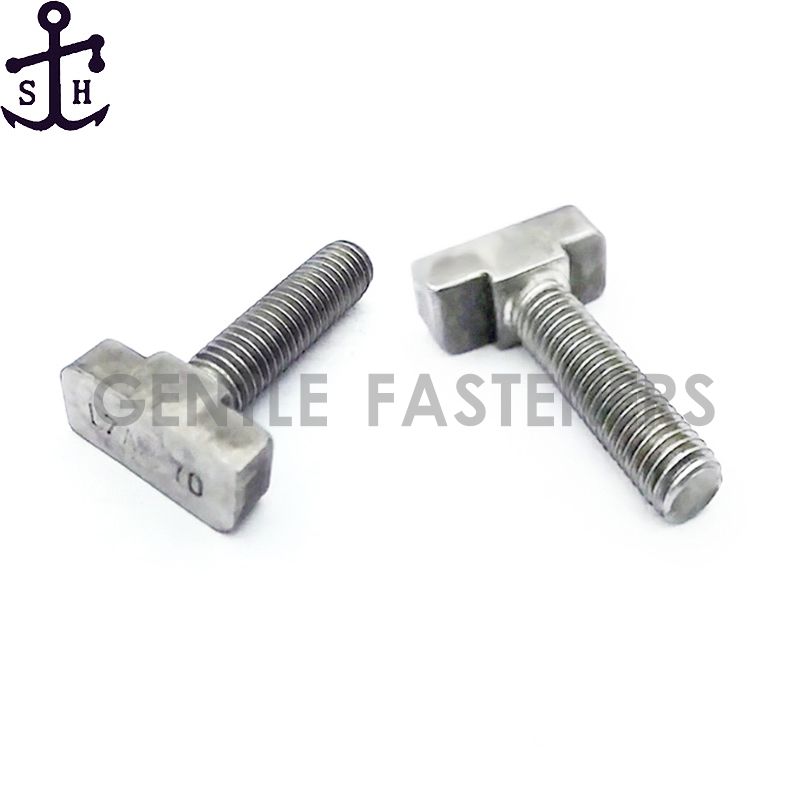 Carbon Steel / Stainless Steel T-Bolts
