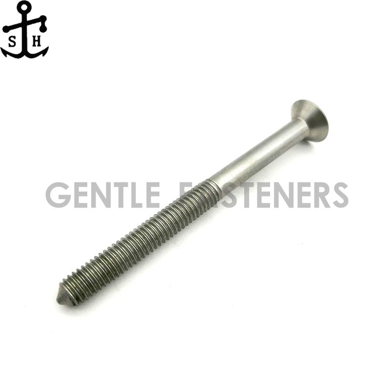 Customized stainless steel socket countersunk head pointed tail screws