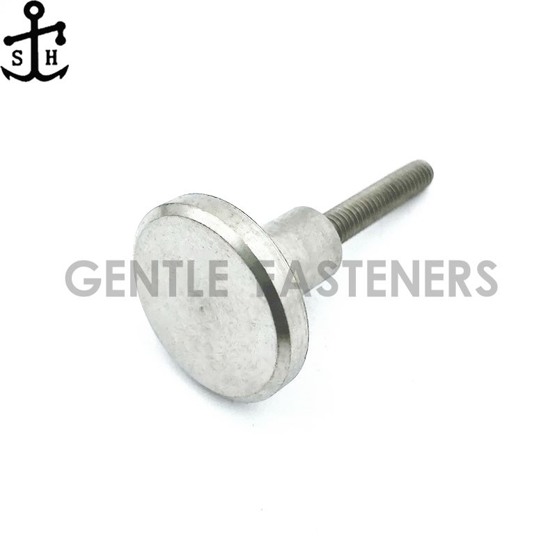 Customized stainless steel sems screws