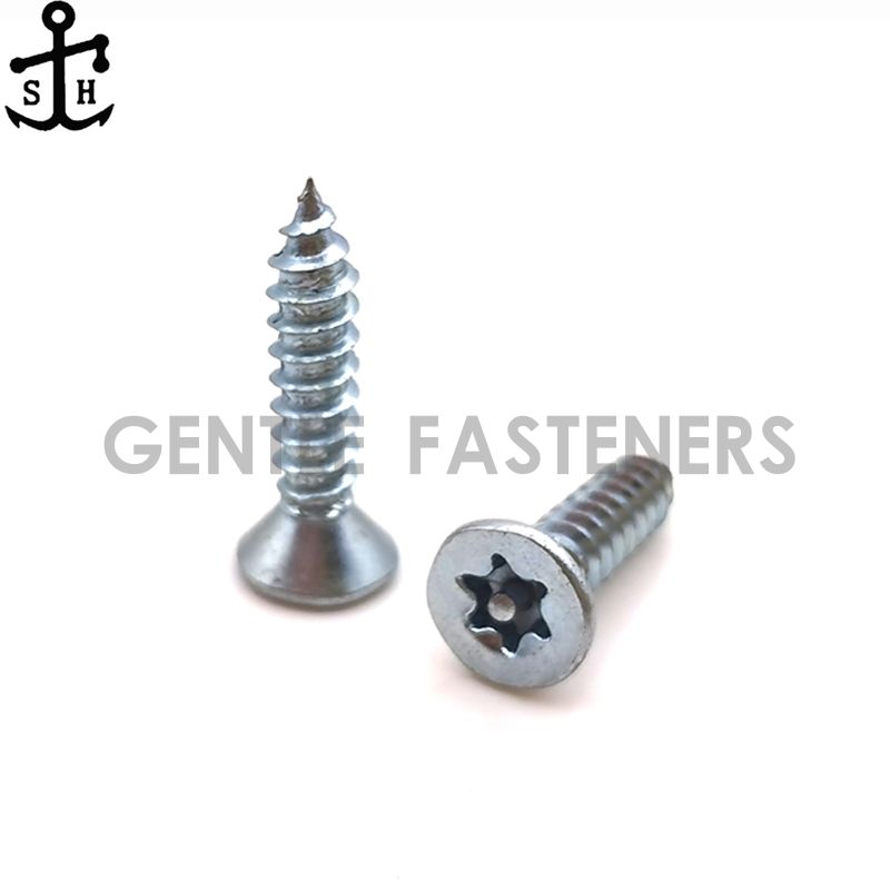 Carbon steel countersunk head torx with lock self tapping screw